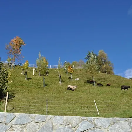 Stella Bianca Apartmán